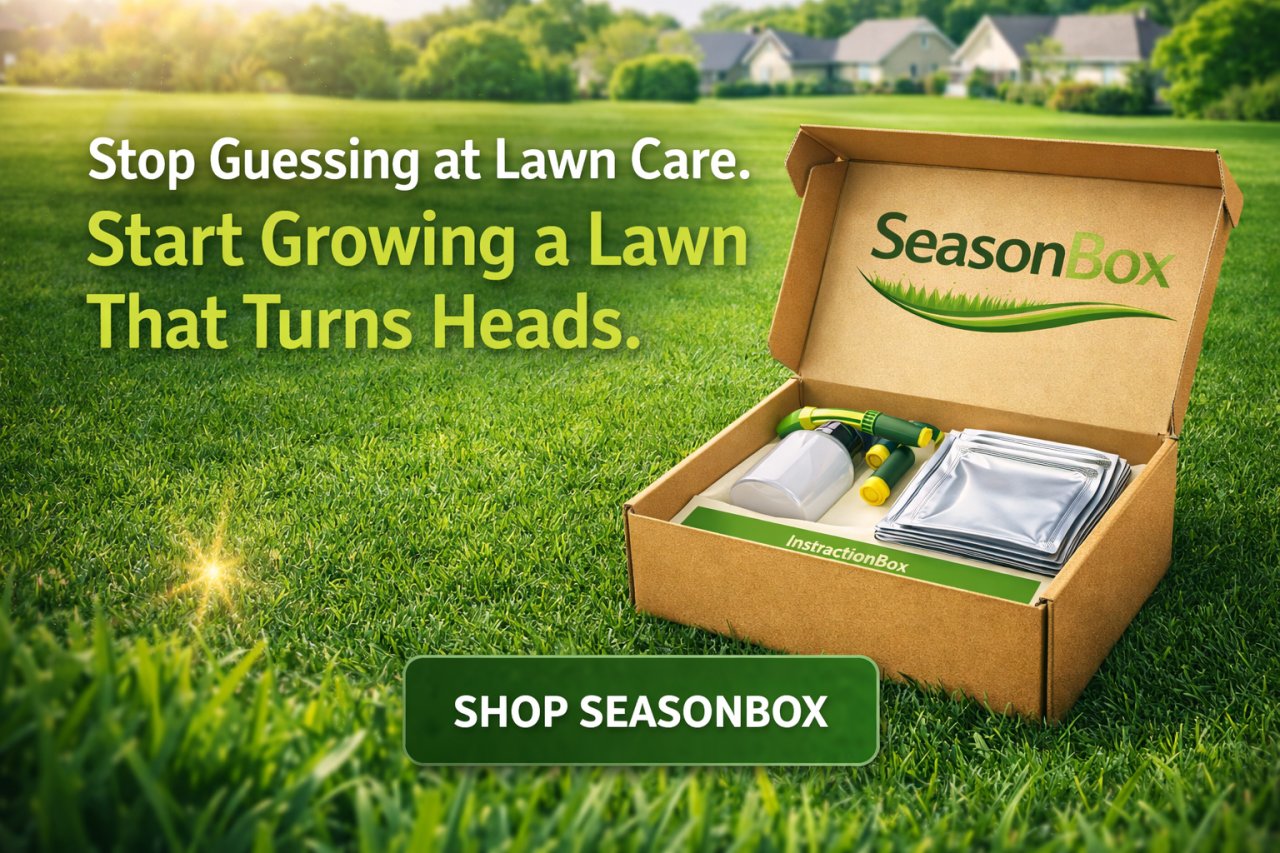 The Secret Behind Lawns That Make Neighbors Look Twice