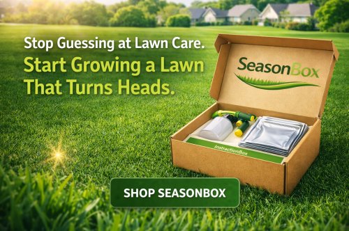 The Secret Behind Lawns That Make Neighbors Look Twice