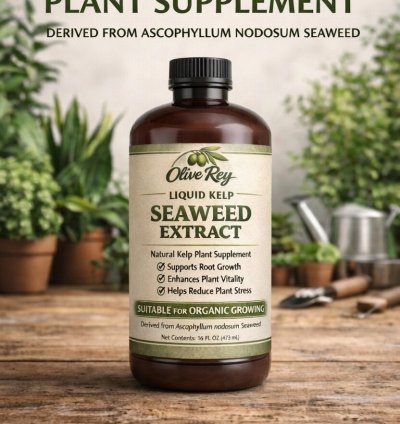 Olive Rey Organic Liquid Seaweed Plant Food – Premium Kelp Fertilizer Concentrate – 8 oz